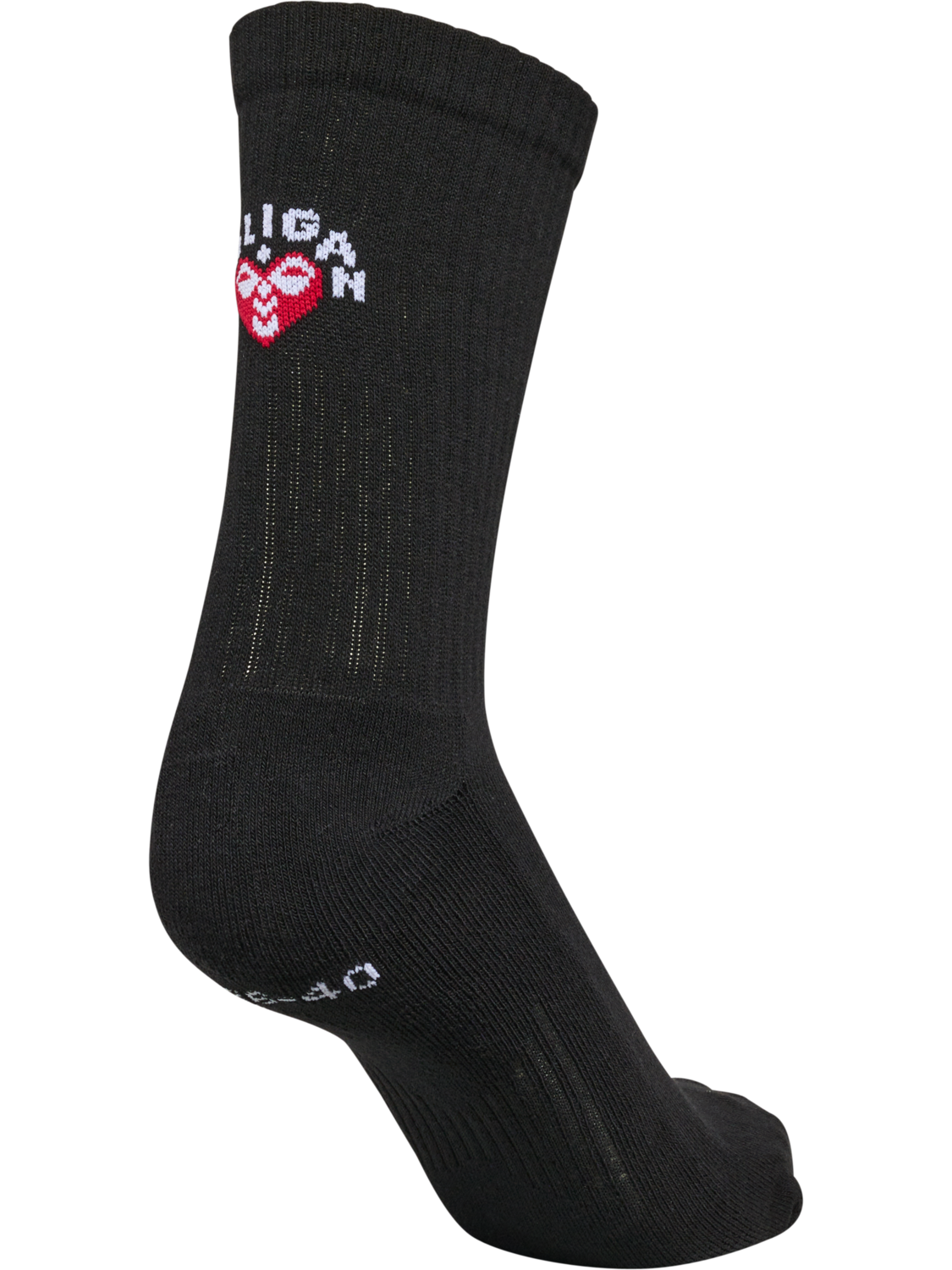 hmlROLIGAN 2-PACK SOCKS, BLACK, packshot