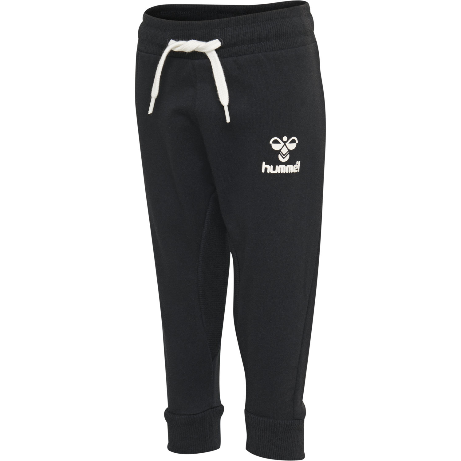 hmlAPPLE PANTS, BLACK, packshot