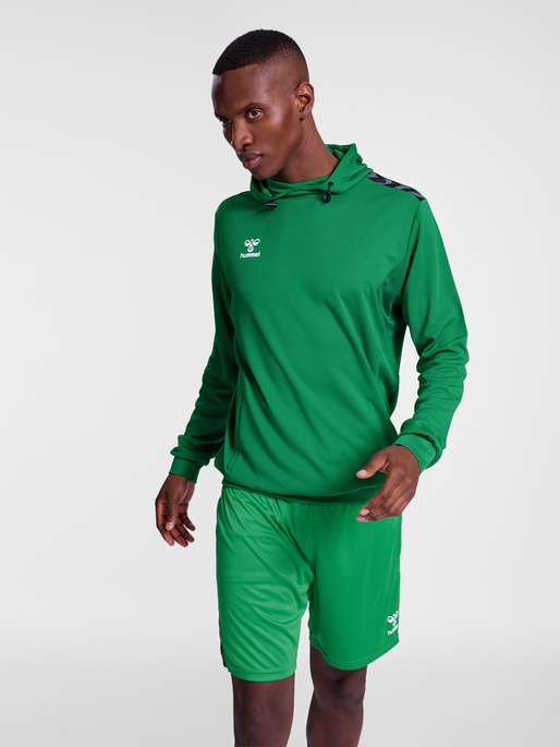 hmlAUTHENTIC PL HOODIE, JELLY BEAN, model
