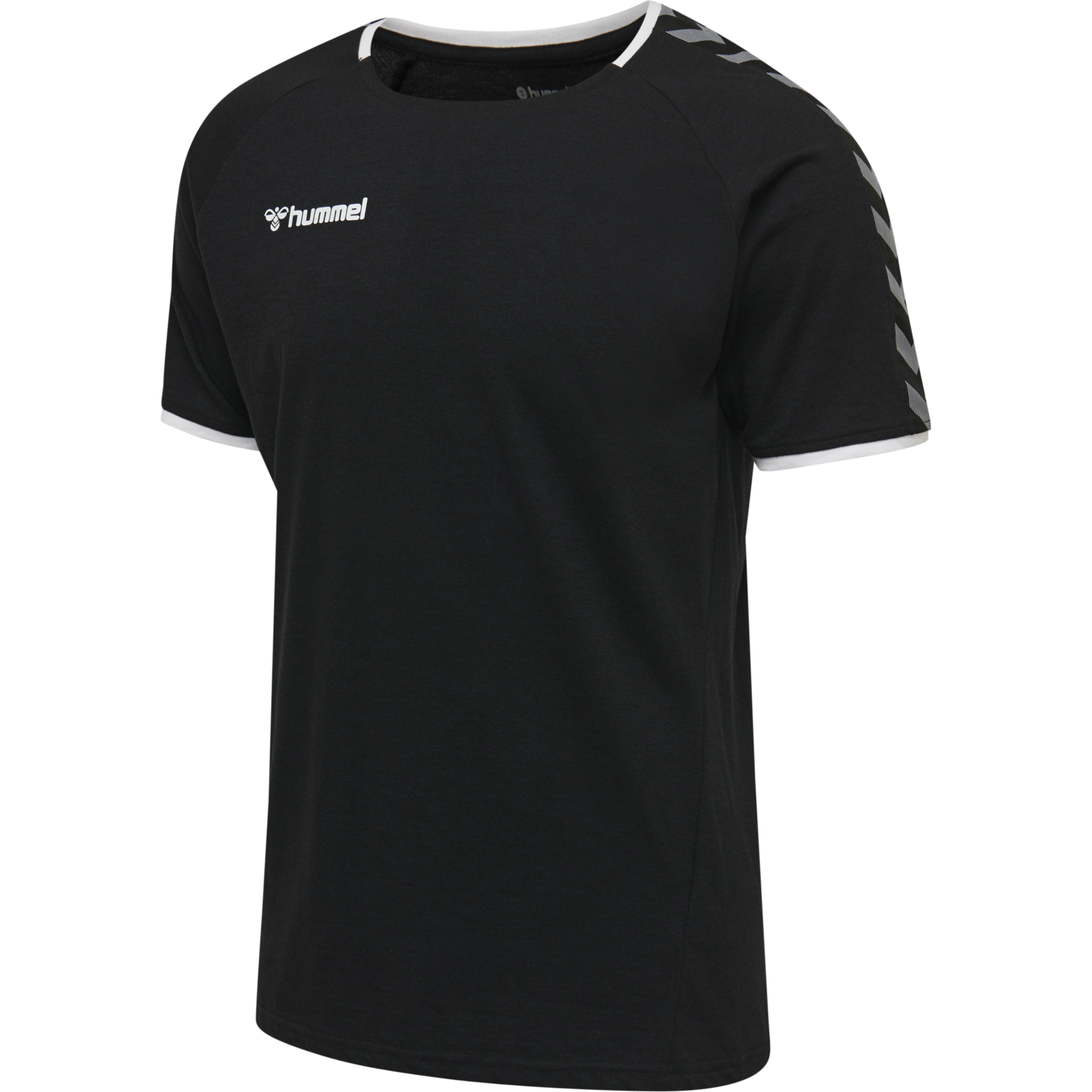 hmlAUTHENTIC TRAINING TEE, BLACK/WHITE, packshot
