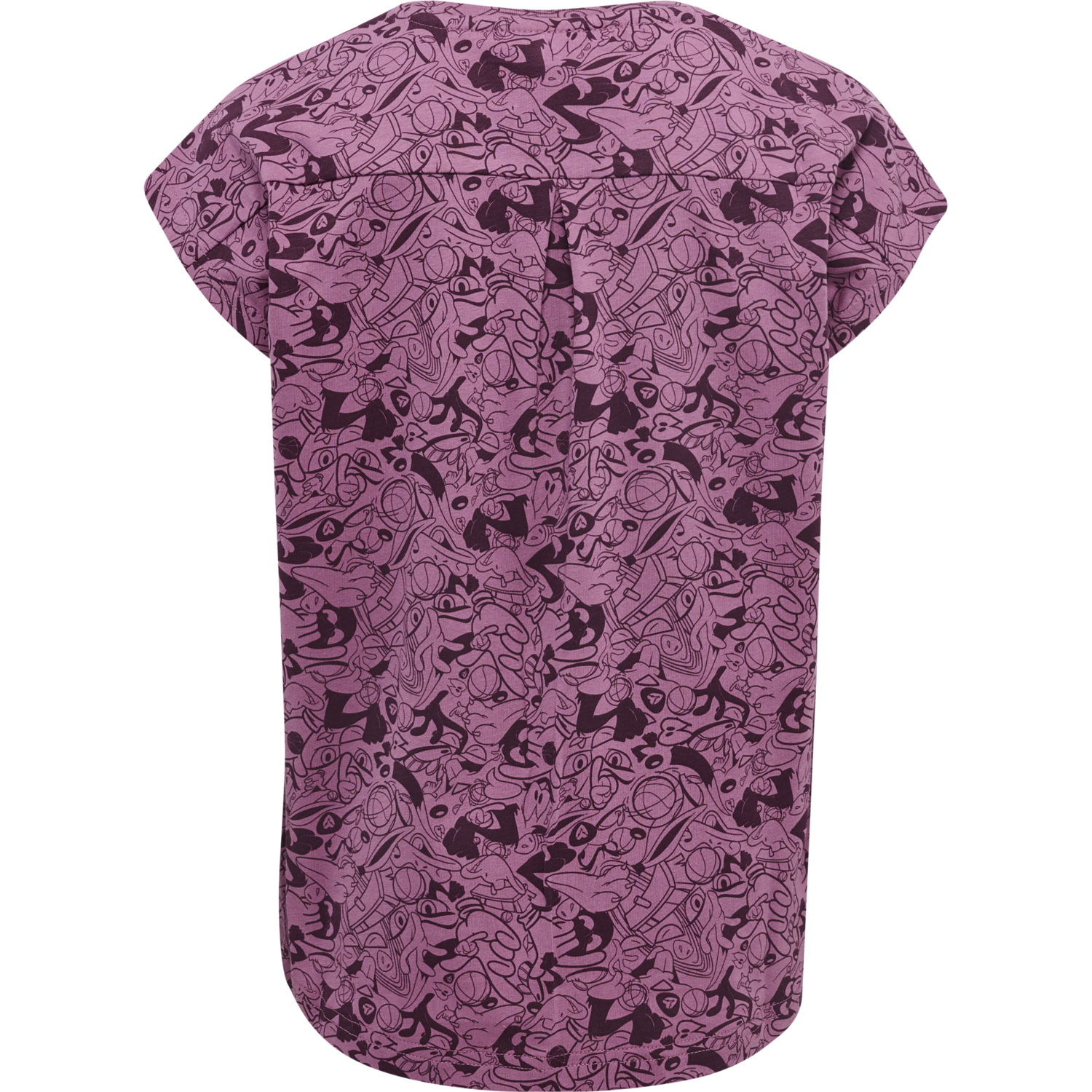 hmlSPACE JAM DIEZ T-SHIRT S/S, BORDEAUX, packshot