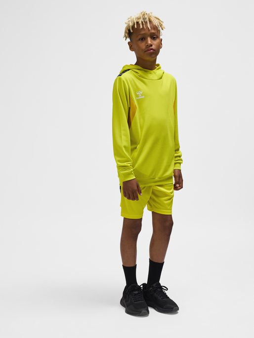 hmlAUTHENTIC PL HOODIE KIDS, BLAZING YELLOW, model